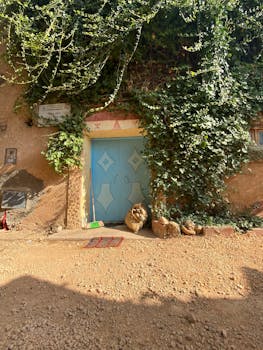 A sunlit blue door surrounded by greenery in Ifrane, Maroc, showcasing Moroccan village charm.